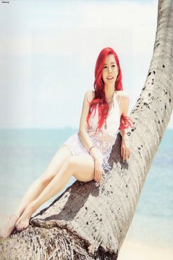 童子军大战僵尸